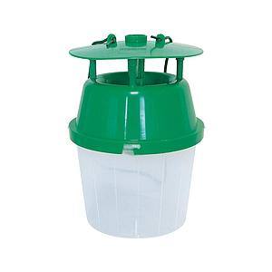 2 FEROMOONVALLEN BUXUSMOT