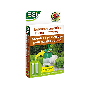 FEROMOONCAPS BUXUSMOTTENVAL