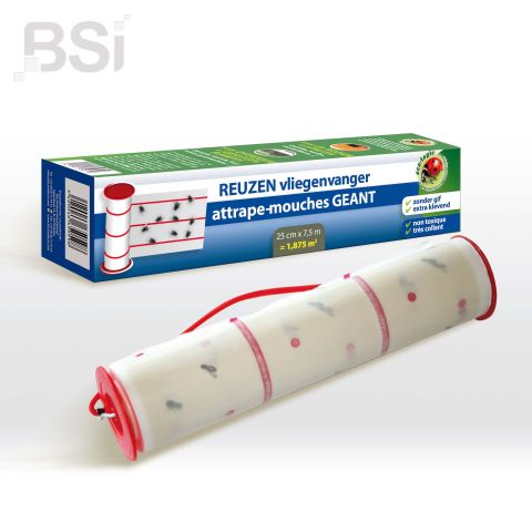 Reuzen Vliegenvanger