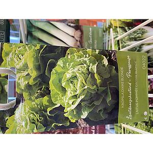 SLA LAATDOORSCHIETENDE