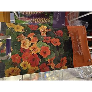 KAPUCIJNEN DWERG TROPAEOLUM ALASKA