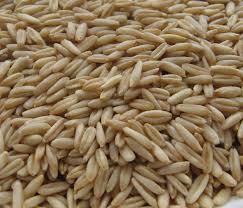 Gepelde Haver/Avoine Pelé 25kg